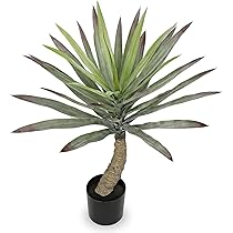 Amazon｜IKEA/イケア FEJKA/フェイカ：人工観葉植物68 cm アレカヤシ